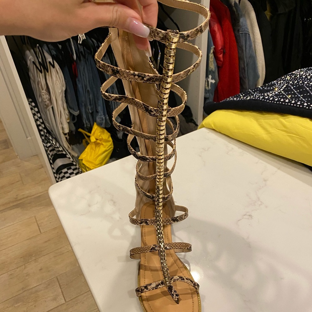 Gladiator shoes. Snakeskin